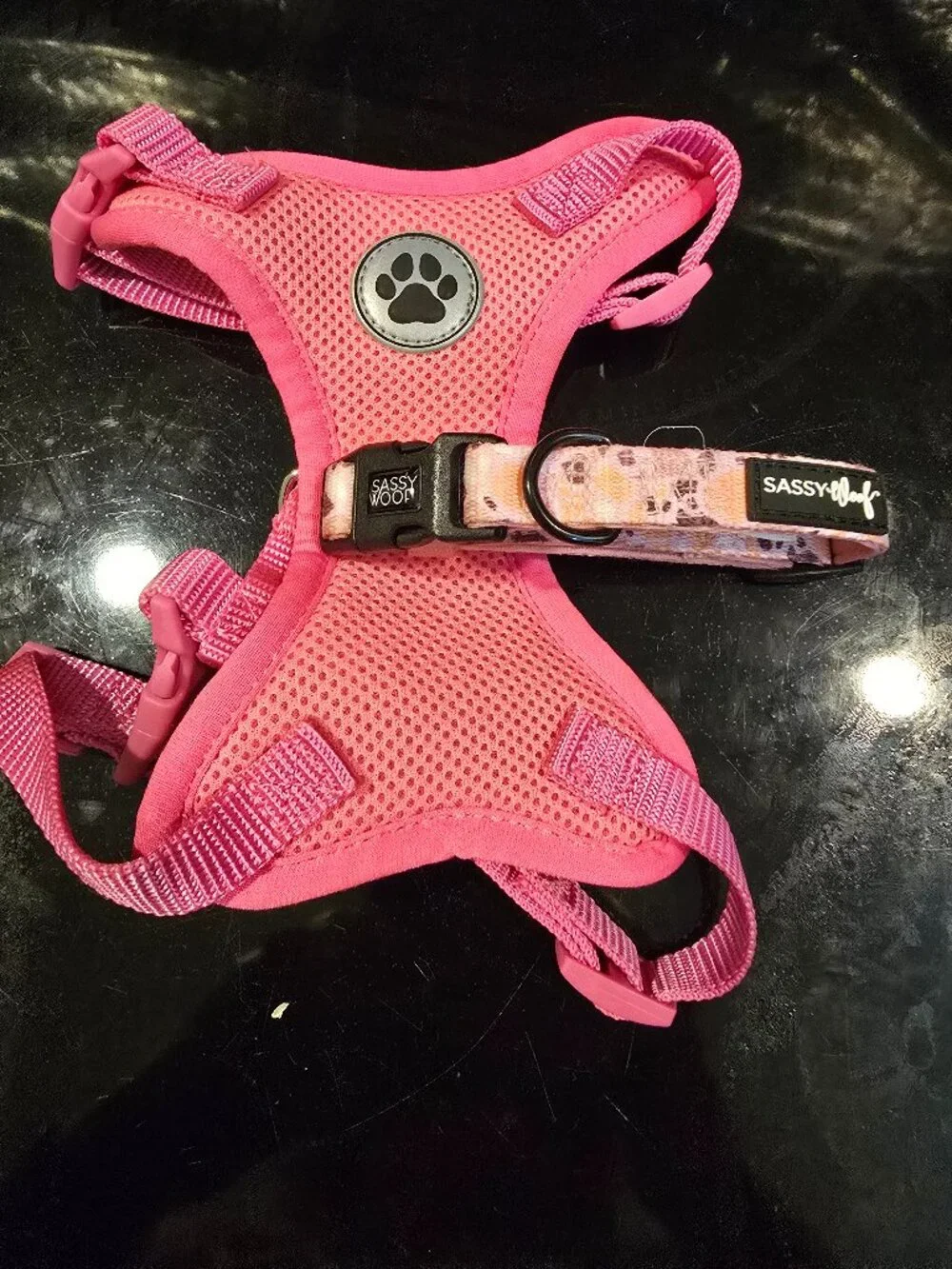 Pink Small Dog Harness Vibrant Life Dog Leash Sassy Woof NEW